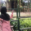ayraiaaa
