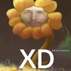 mximo5769