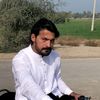 lalgull52