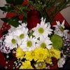 emel.emel853