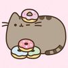 pushen_cat_567