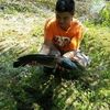 520131499yap