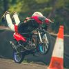 alpinestar224