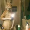 israelandertm
