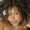 afrobegge