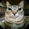 lucky_fresk