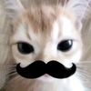 devvie_