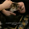 khadijakhadija2095