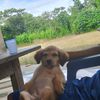 jhovii_17