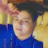 the_wolf_88823