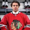toews5v2