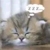ppepsi05
