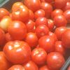 pomidor_907