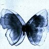 ardhiila