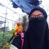 iradahambok