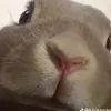 <3