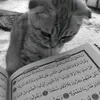 whieng.haddarimah