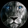 feras_rasheed
