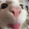 iyawww.0
