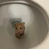 acbghz