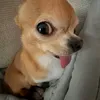 dlllllleeeeeeeee