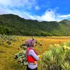 edelweiss_910