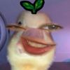 miloais0satuu