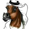 alfawaresstud