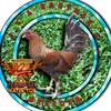 chuckgaming2