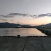 nemunem0