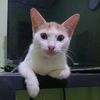 nunung0515_