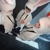 cacacacacaca_0