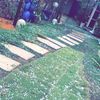 khaled.alfhed