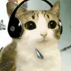 konceo269