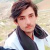 farmantanha1223
