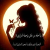 user440545690