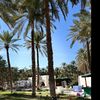 king_saud305