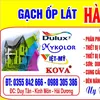hahoan8687