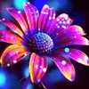 creationaccount_3