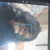 ivriov_