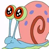 gerridiepanzerschnecke