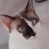 marieclariegreen