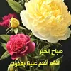 mstj.kaam