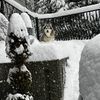 razor_215