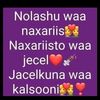xamdi23