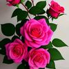 user8515691701276
