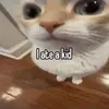 oskmeow