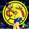 carlos_abil5