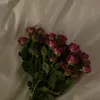 ..shaimaa_