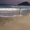 cariocafabiano